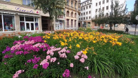 liberec květ 2 20210720 180613